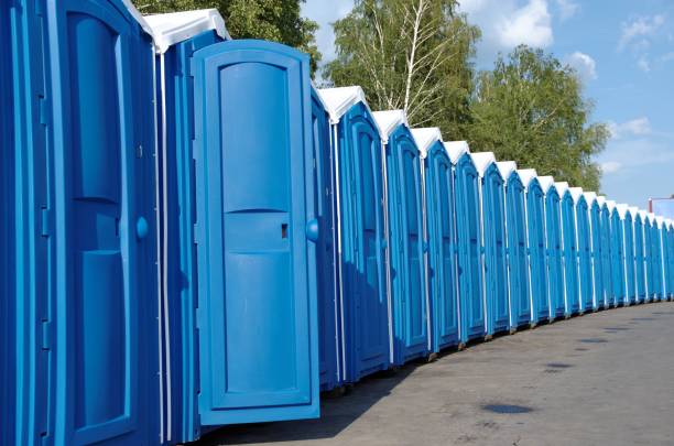 Best Porta potty delivery and setup  in Hazel Park, MI